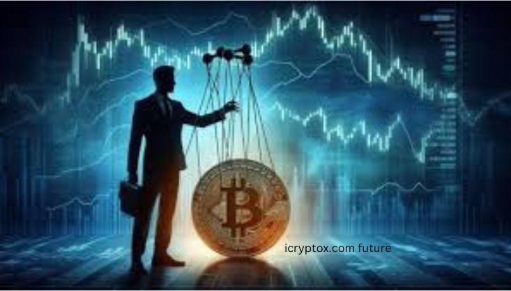 icryptox.com future